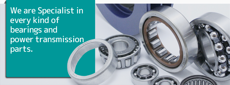 We are Specialist in every kind of bearings and power transmission parts
